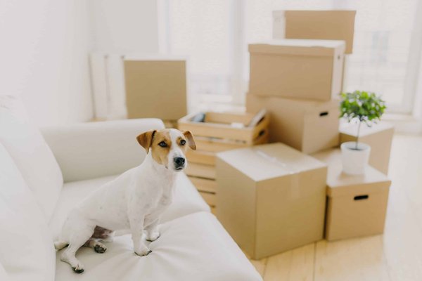 What Are the Most Comfortable Heel Alternatives for a Full Day of Meetings?