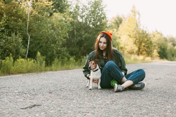 Where can I find pet charms ?